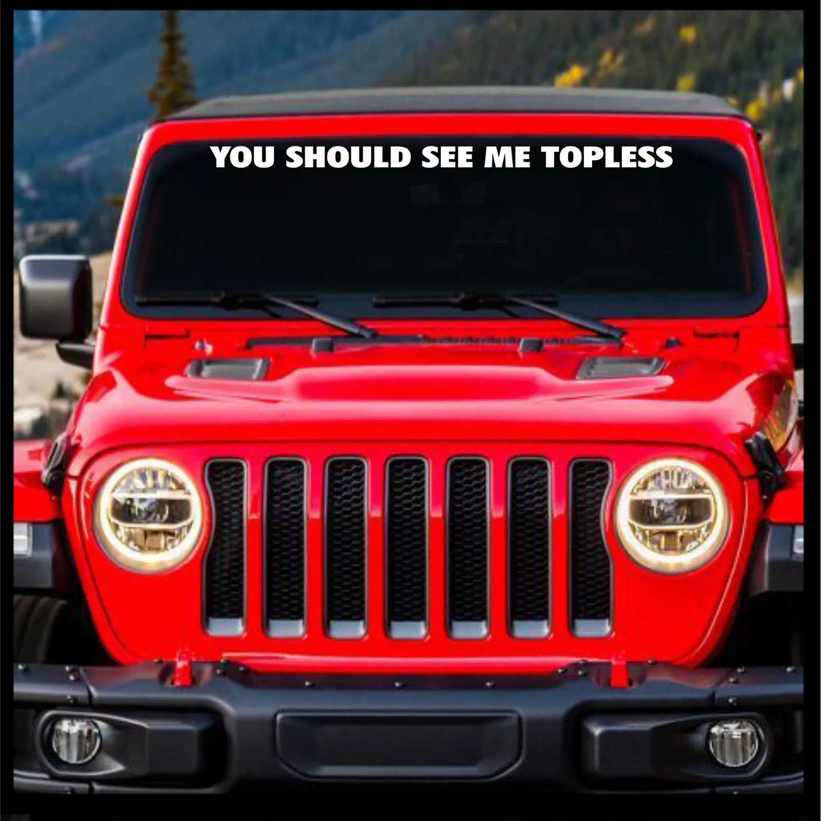 You Should See Me Topless Jeep Windshield Decal Graphic